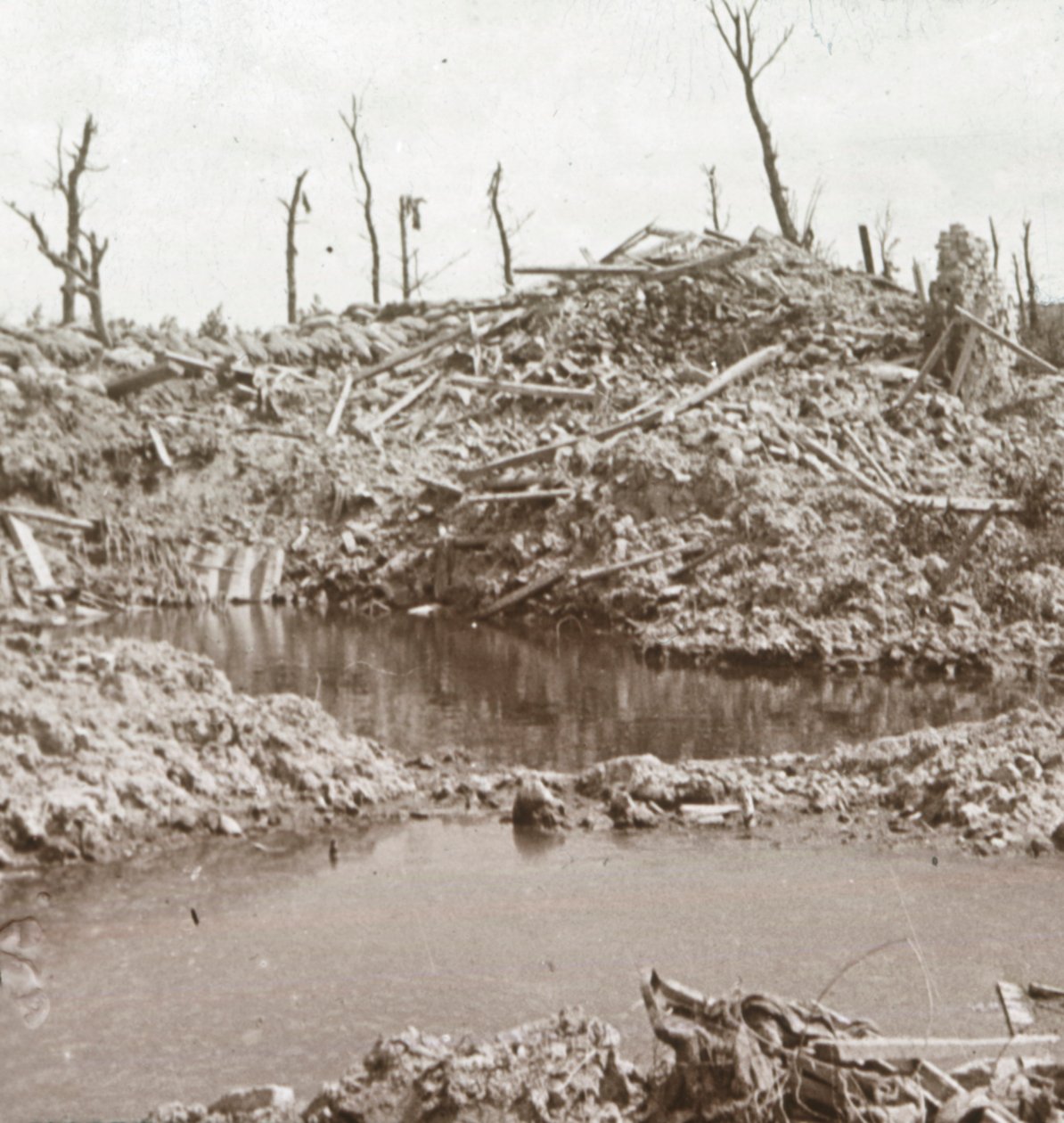 Ufer des Flusses Yser, Diksmuide, Belgien, ca. 1914-1918 von Unbekannt