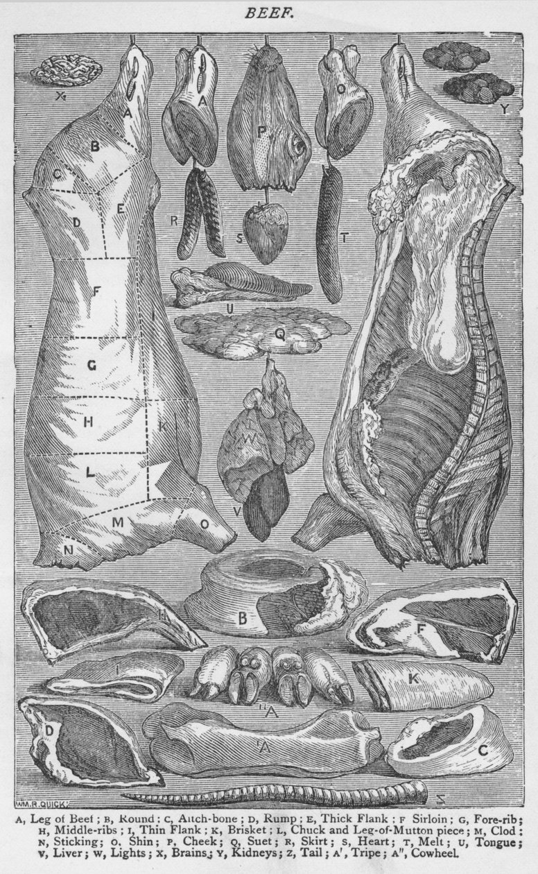 Rindfleisch, 1907 von Unbekannt