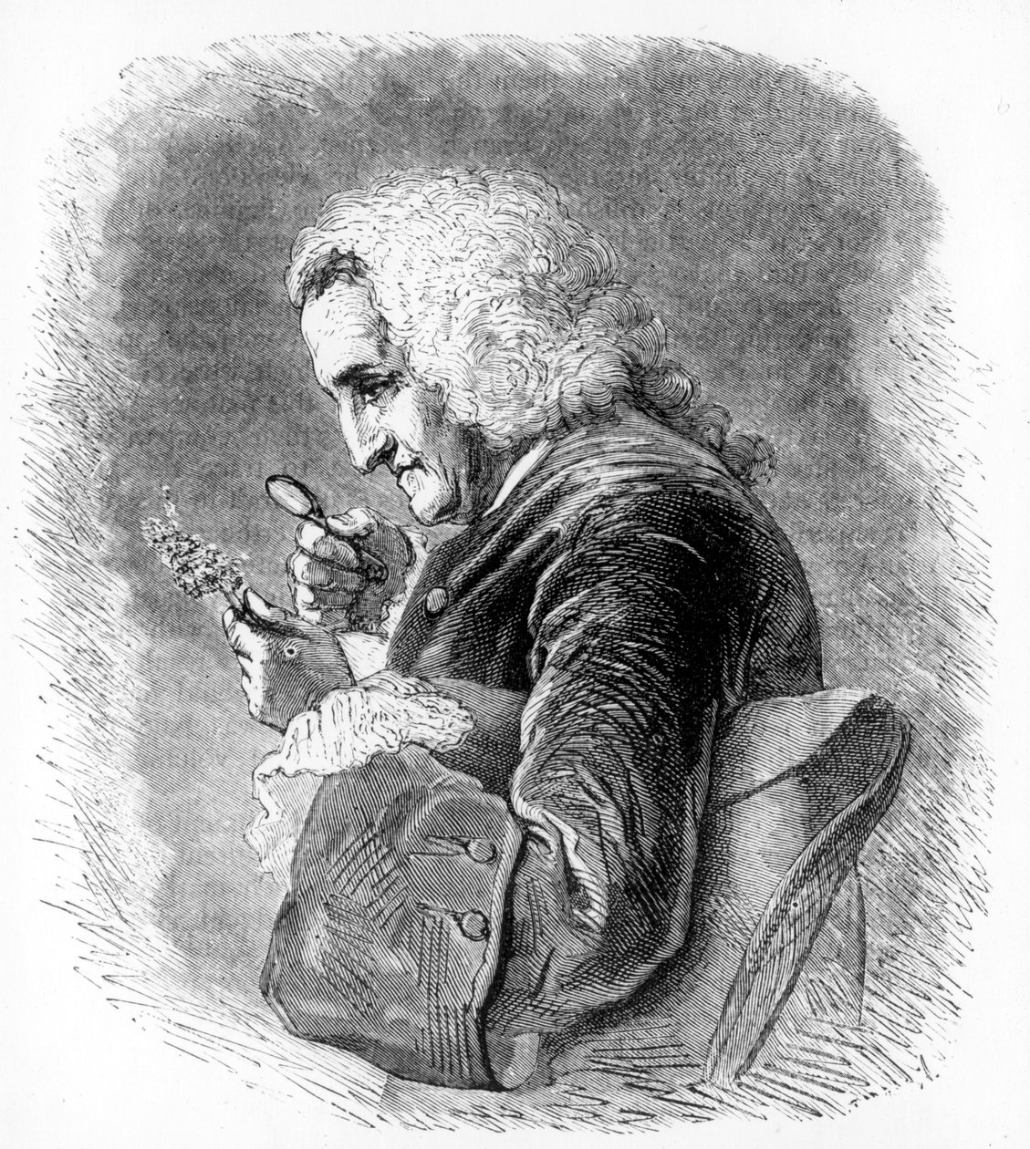 Bernard de Jussieu, französischer Botaniker des 18. Jahrhunderts, 1880 von Unbekannt
