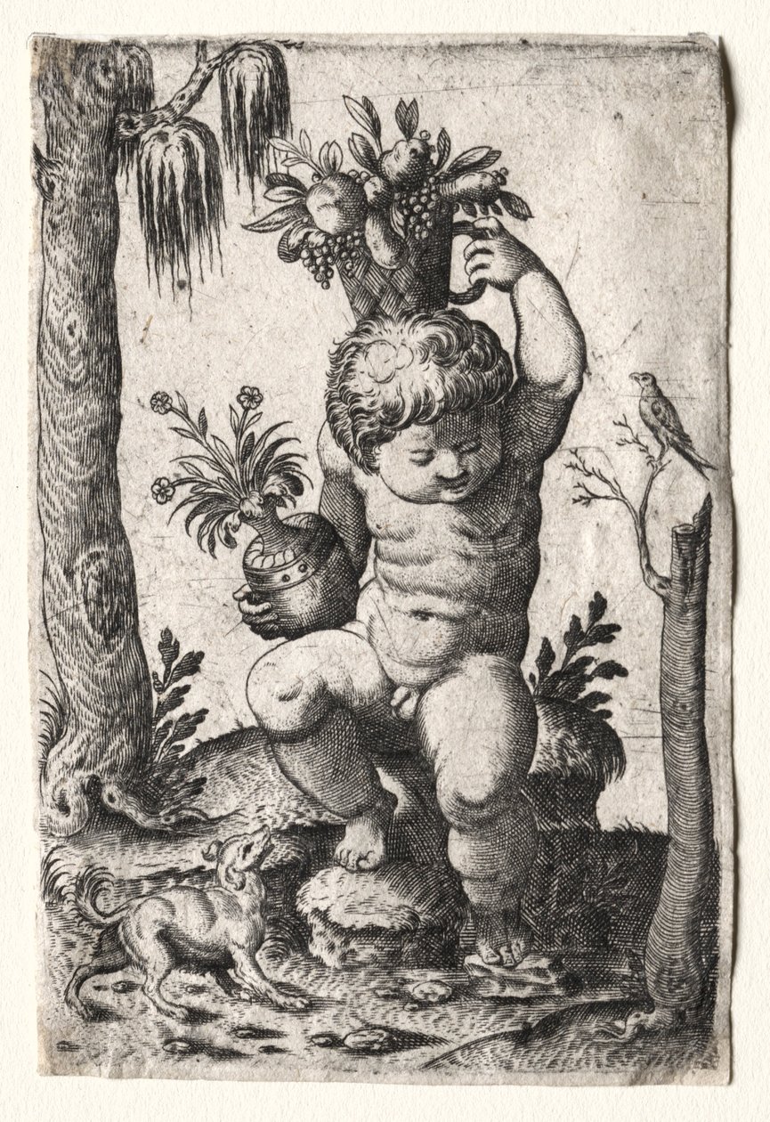 Junge mit Obstkorb, 1500er oder 1600er Jahre von Unbekannt