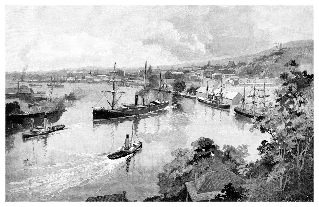 Brisbane von der Bowen Terrace, 1886 von Unbekannt