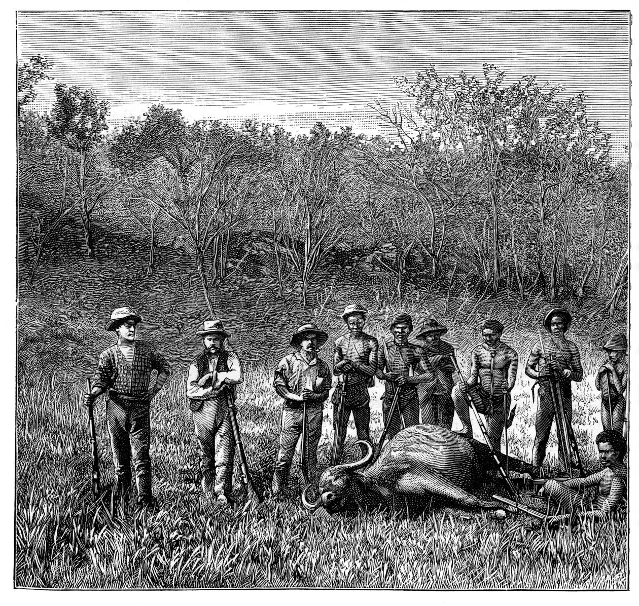 Büffeljäger im Transvaal, Südafrika, ca. 1890 von Unbekannt
