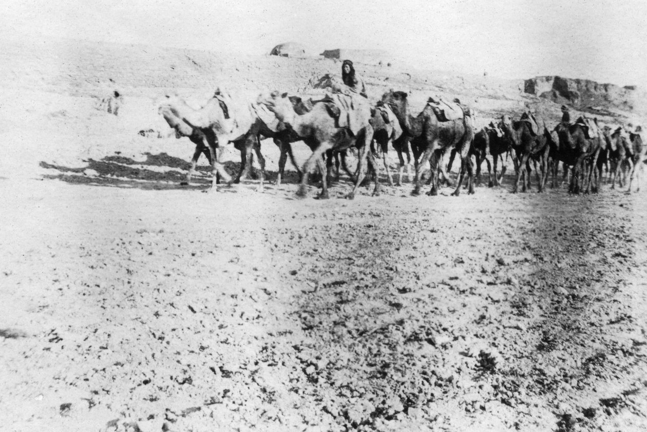 Kamelkarawane, Mosul, Mesopotamien, 1918 von Unbekannt