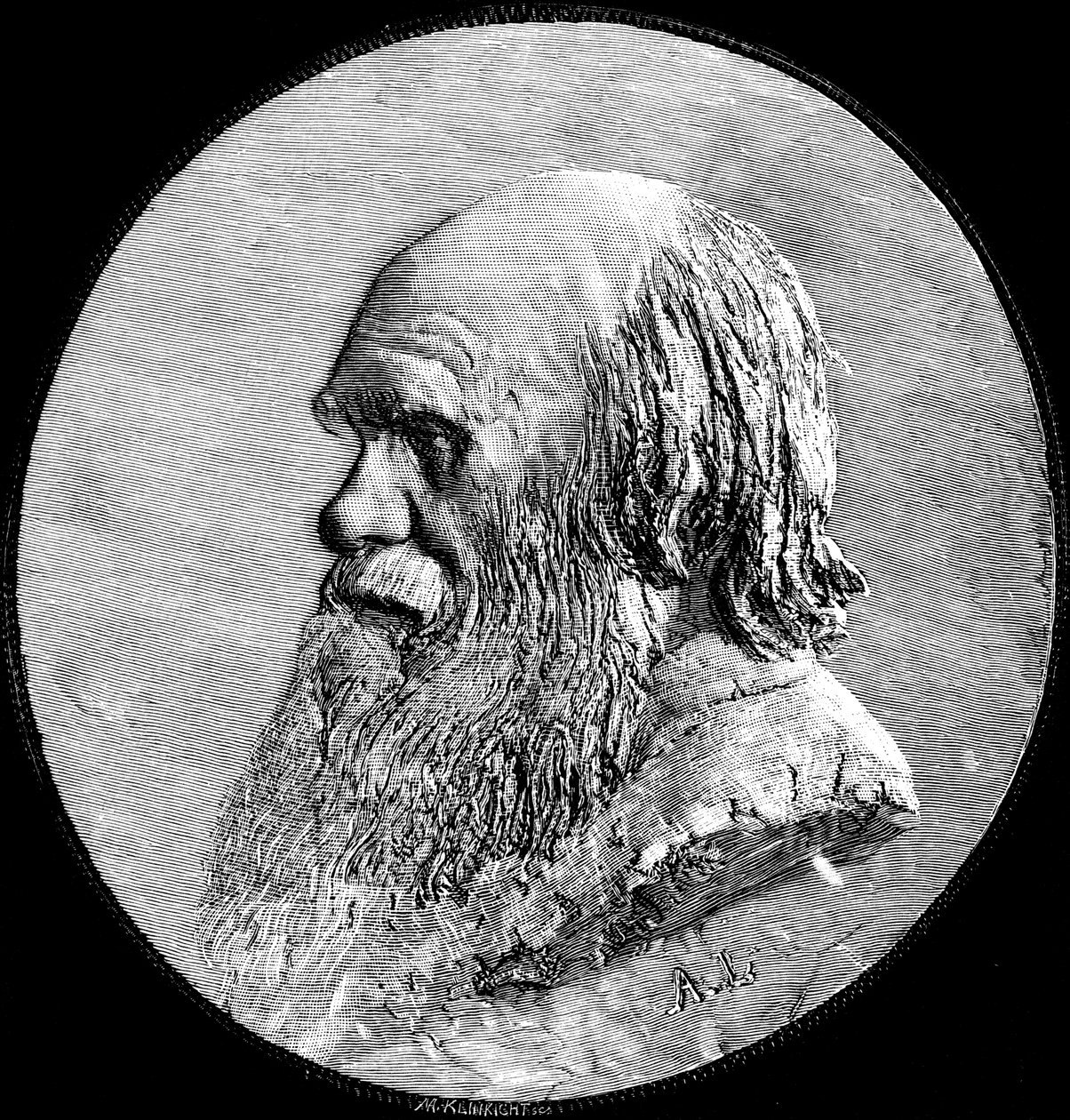 Charles Darwin, 1882 von Unbekannt