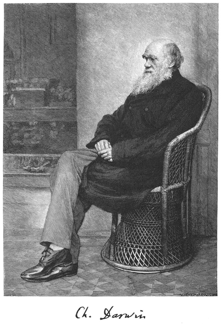 Charles Darwin, englischer Naturforscher, 1883 von Unbekannt