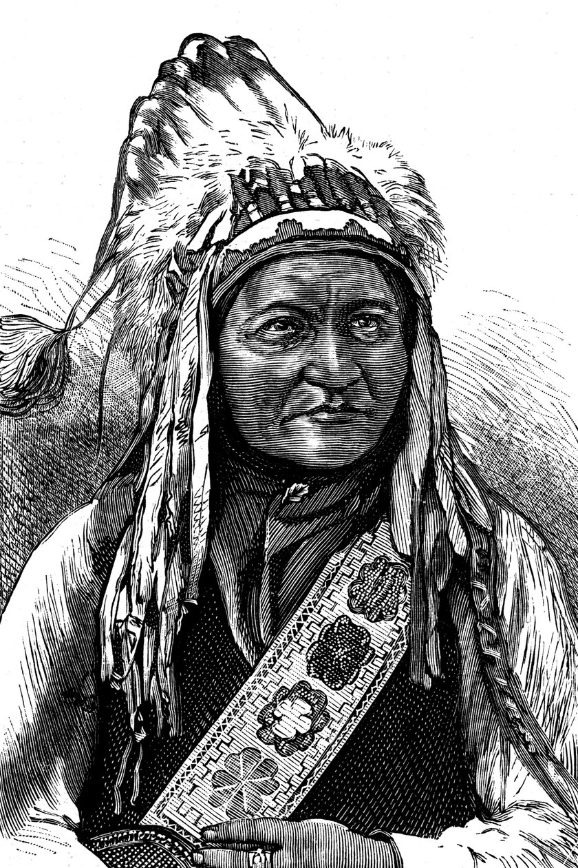 Häuptling Sitting Bull, amerikanischer Indianer, 19. Jahrhundert von Unbekannt