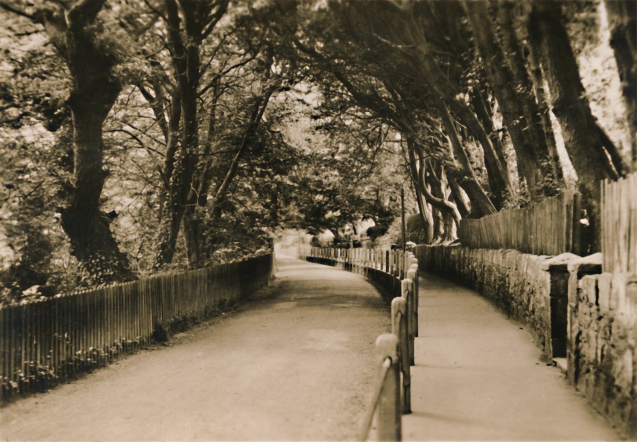 Chine Avenue, Shanklin, I.W., um 1920 von Unbekannt