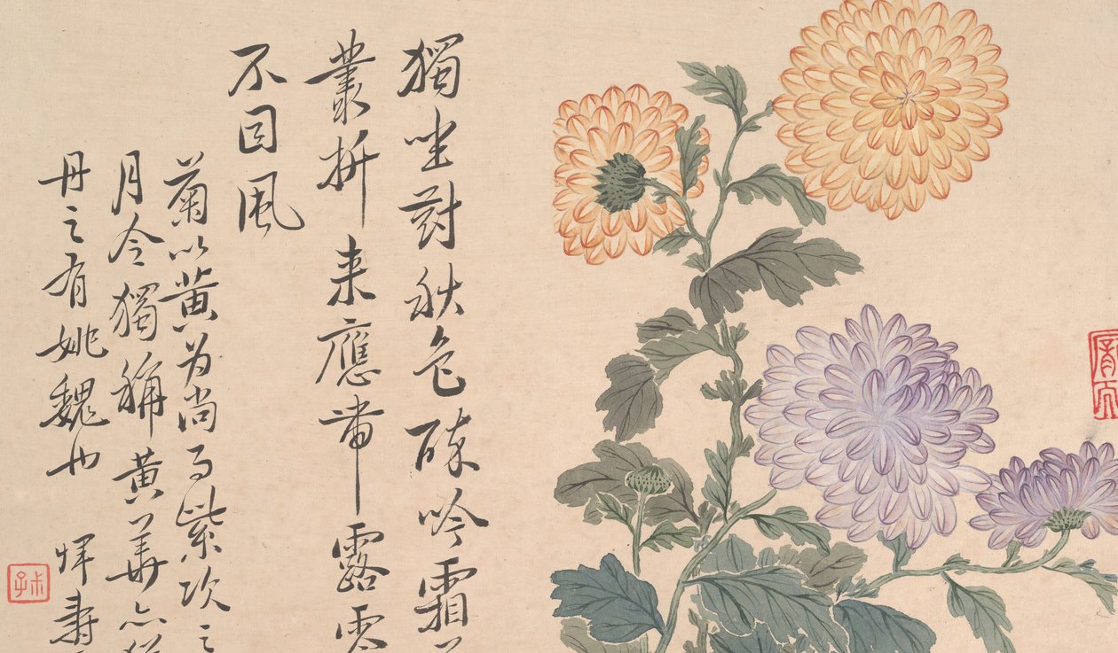 Chrysanthemen von Unbekannt