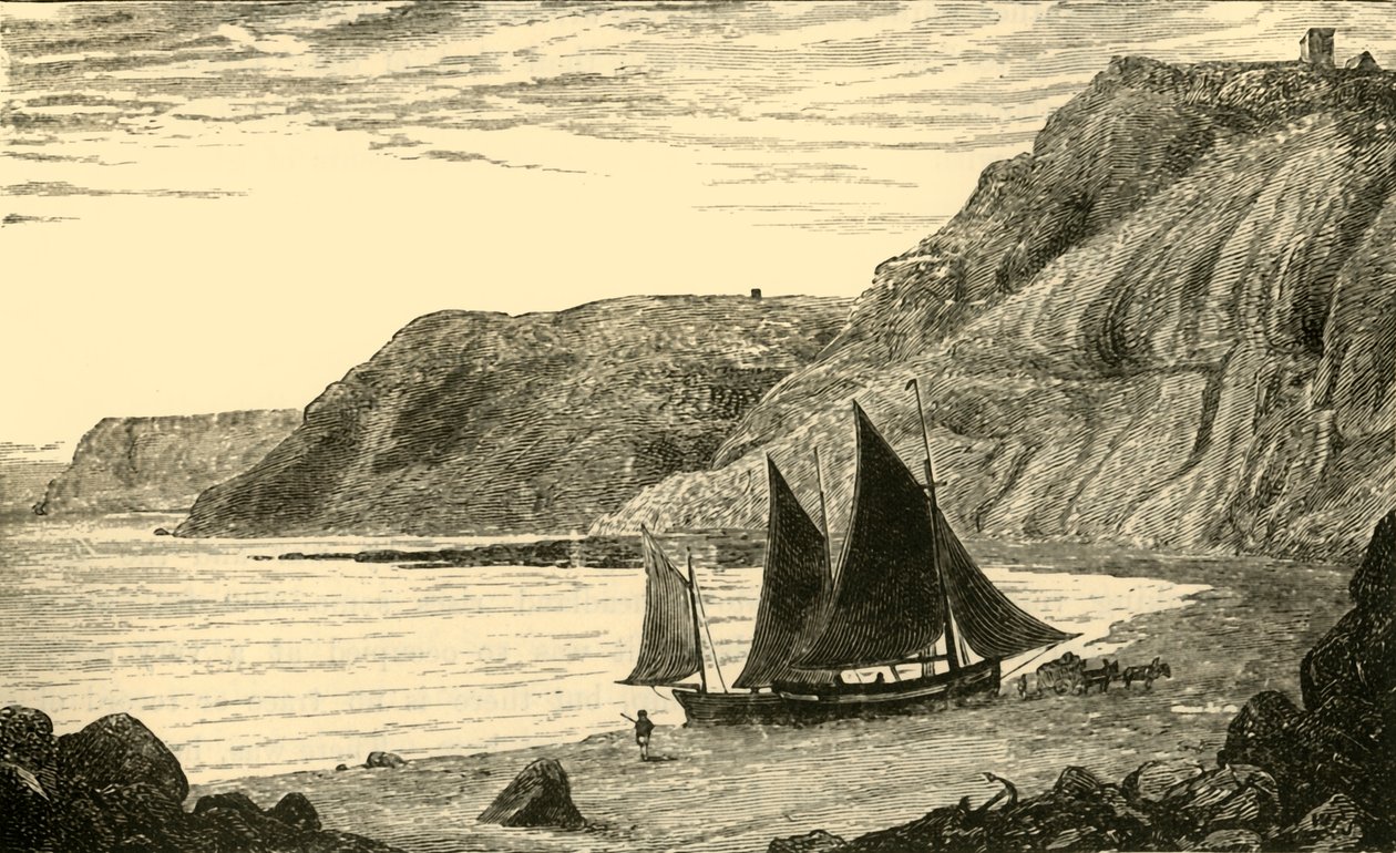 Klippen bei Whitby von Unbekannt