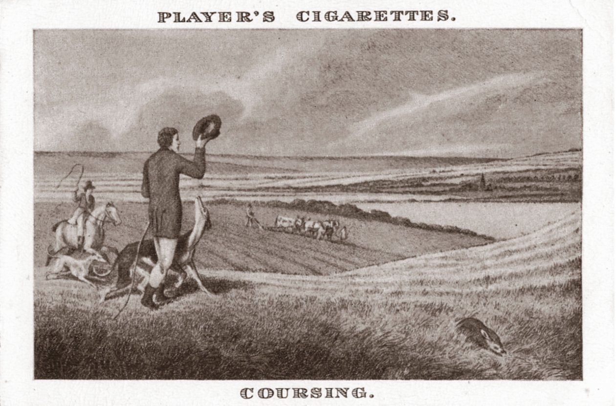 Coursing-1, 1924 von Unbekannt