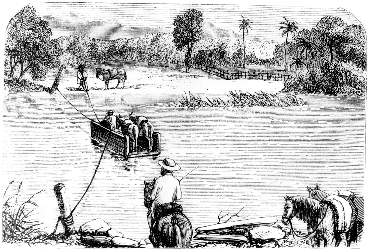 Überquerung der Isabella, Santo Domingo, 1873 von Unbekannt