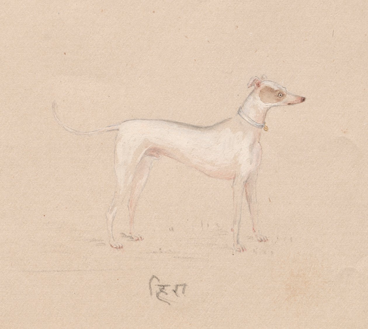 Hund, 1800er Jahre von Unbekannt