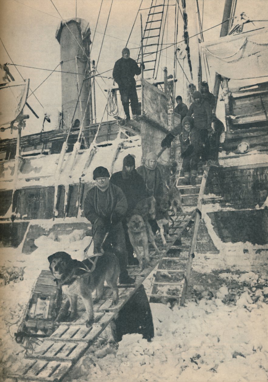 Hunde trainieren, 1936 von Unbekannt