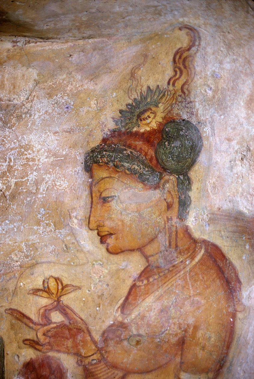 Fresko, Damen von Sigiriya, Sri Lanka von Unbekannt