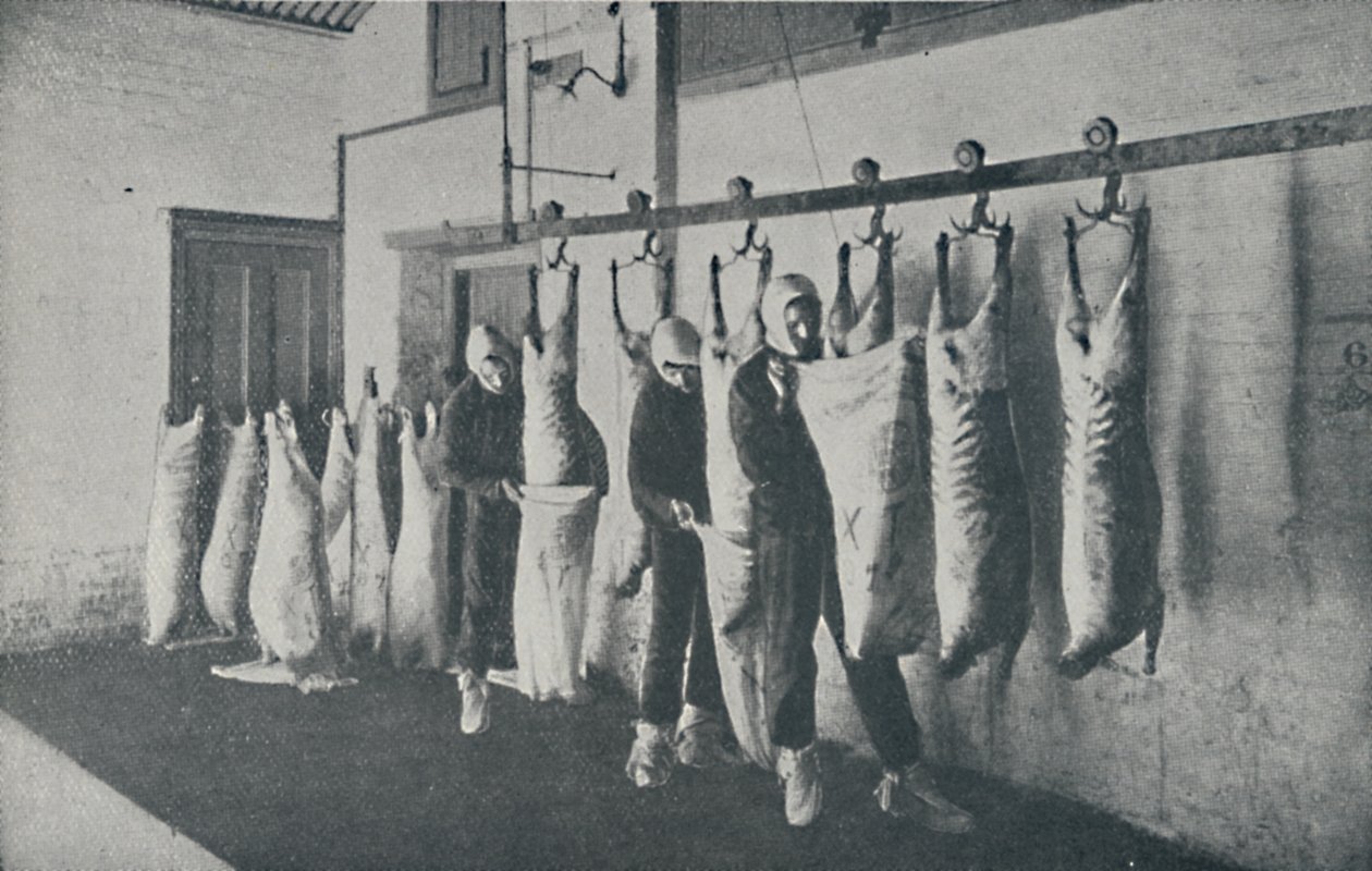 Gefrorenes Fleisch, 1910 von Unbekannt