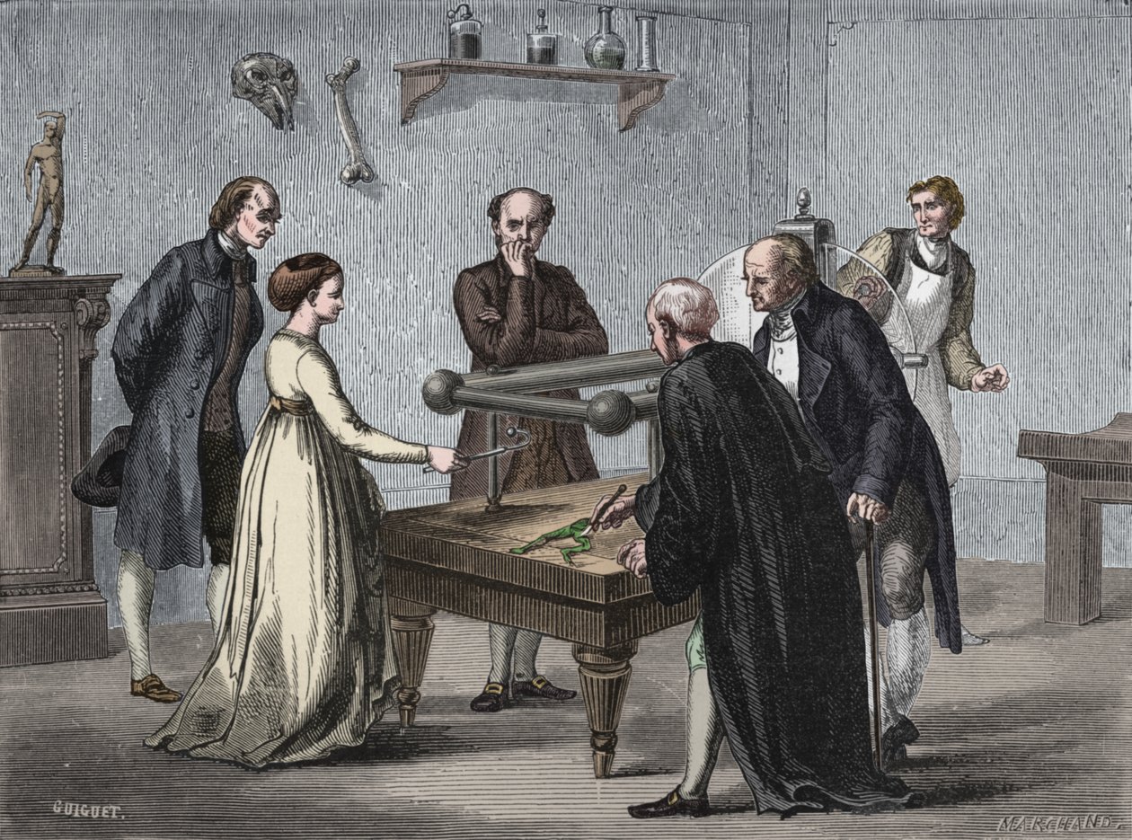 Galvanis Entdeckung, 1780 1894 von Unbekannt
