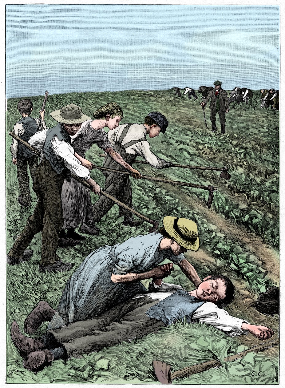 Gangsystem der Kinderarbeit, ca. 1885 von Unbekannt