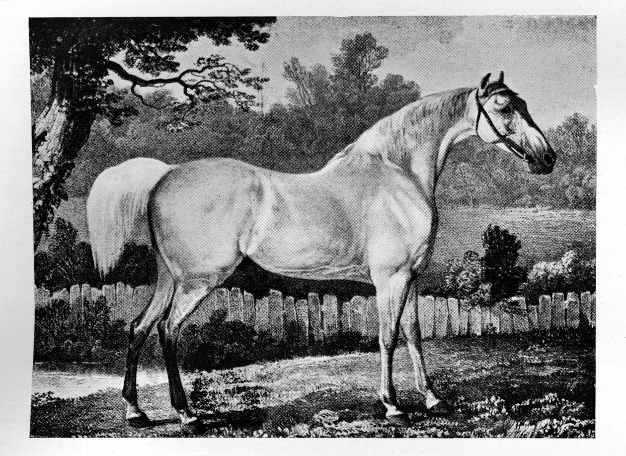 Gimcrack, 1760-1777, 1911 von Unbekannt