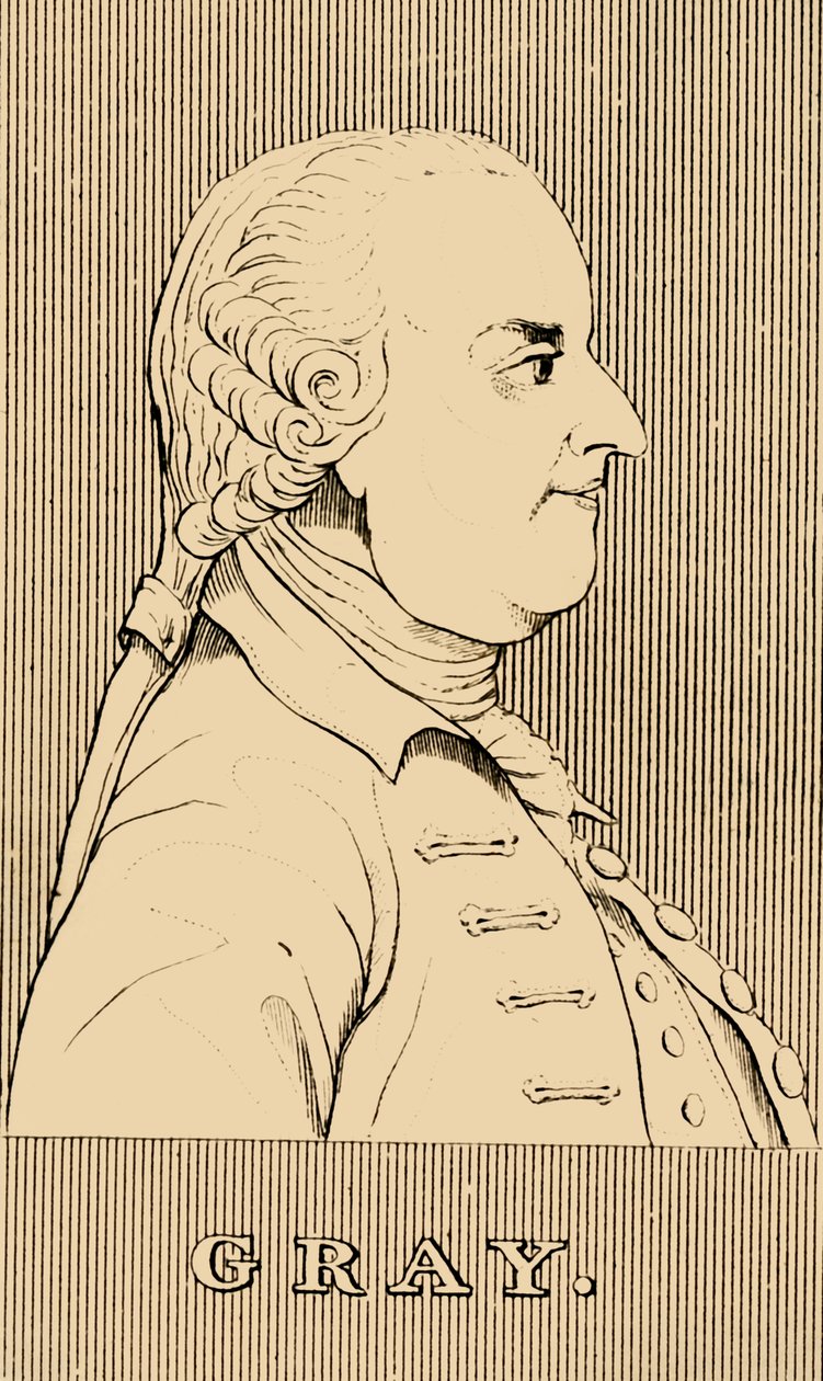 Gray von Unbekannt