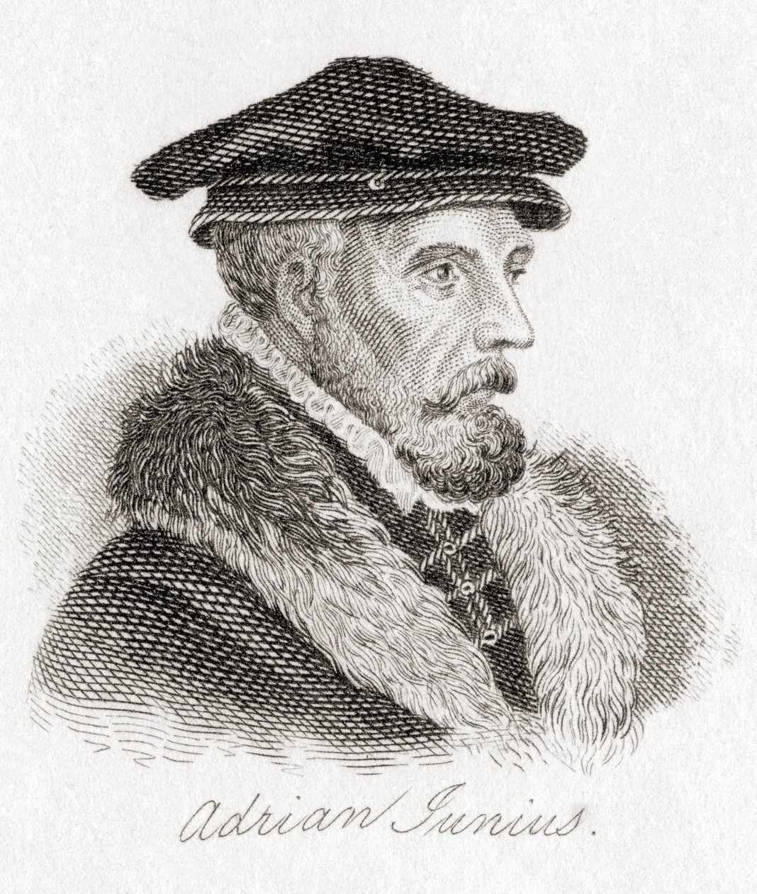 Hadrianus Junius, 1511–1575, auch bekannt als Adriaen de Jonghe von Unbekannt