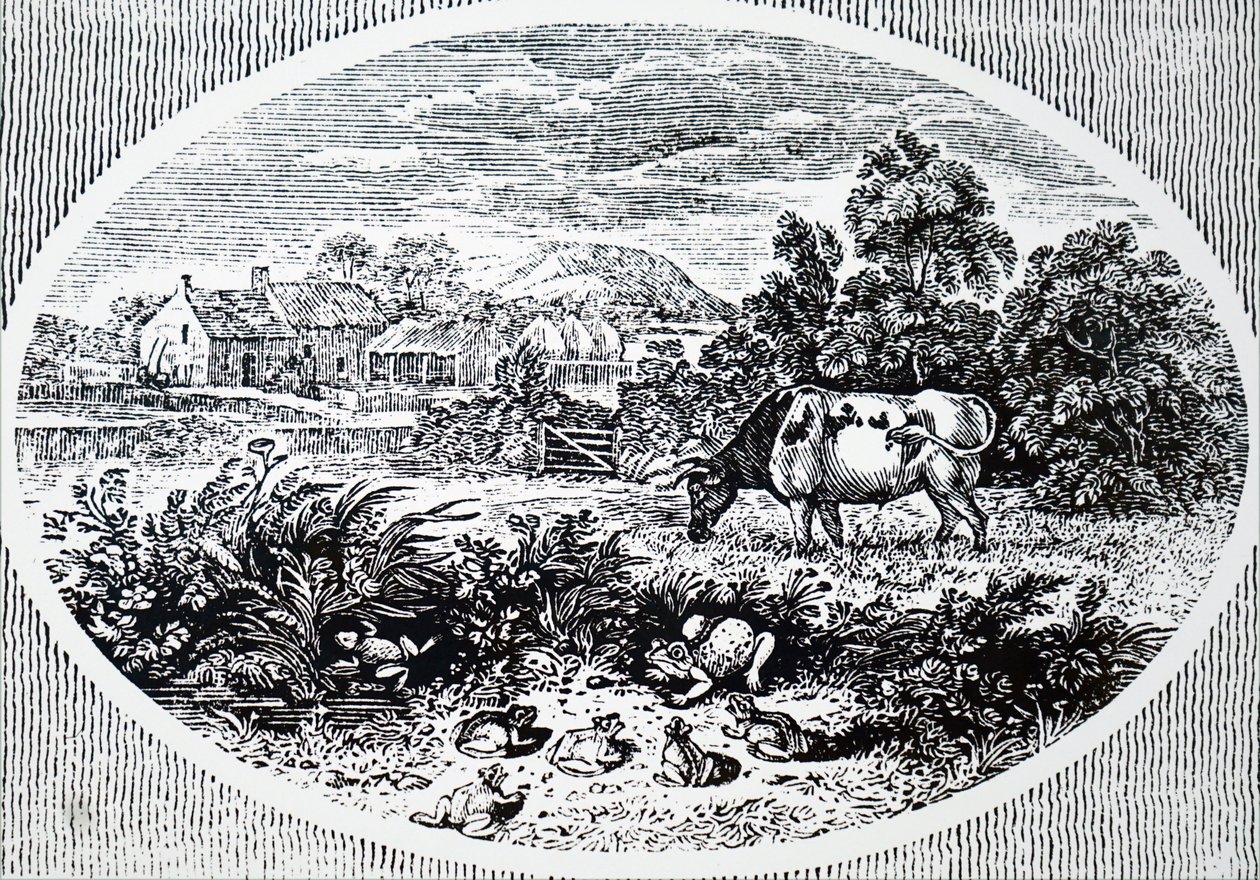 Kopfstück von Thomas Bewick von Unbekannt