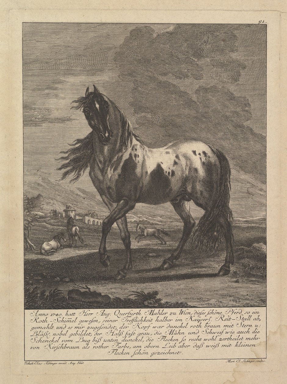 Pferd von Unbekannt