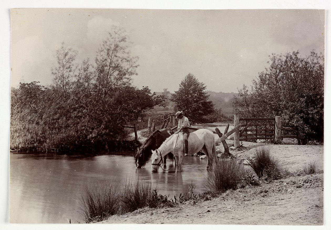 Pferde trinken an einem Teich, um 1890 von Unbekannt