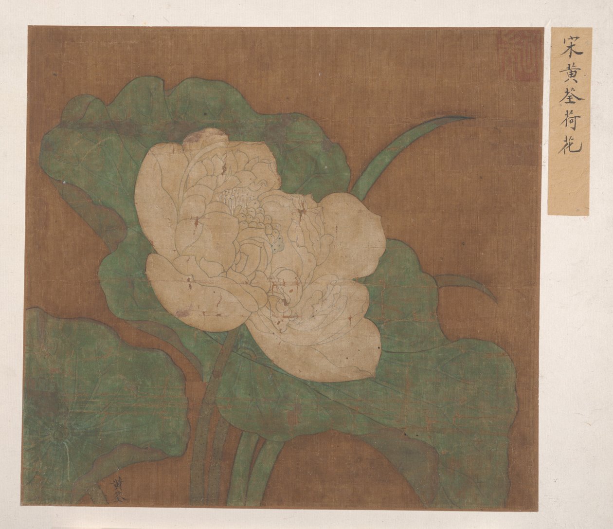 Lotus von Unbekannt