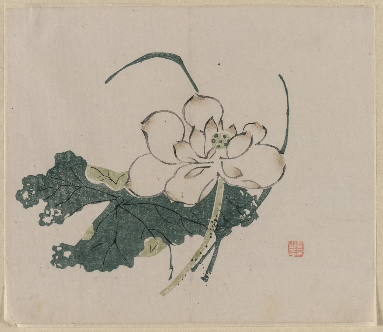 Lotusblüte, 1368-1644 von Unbekannt