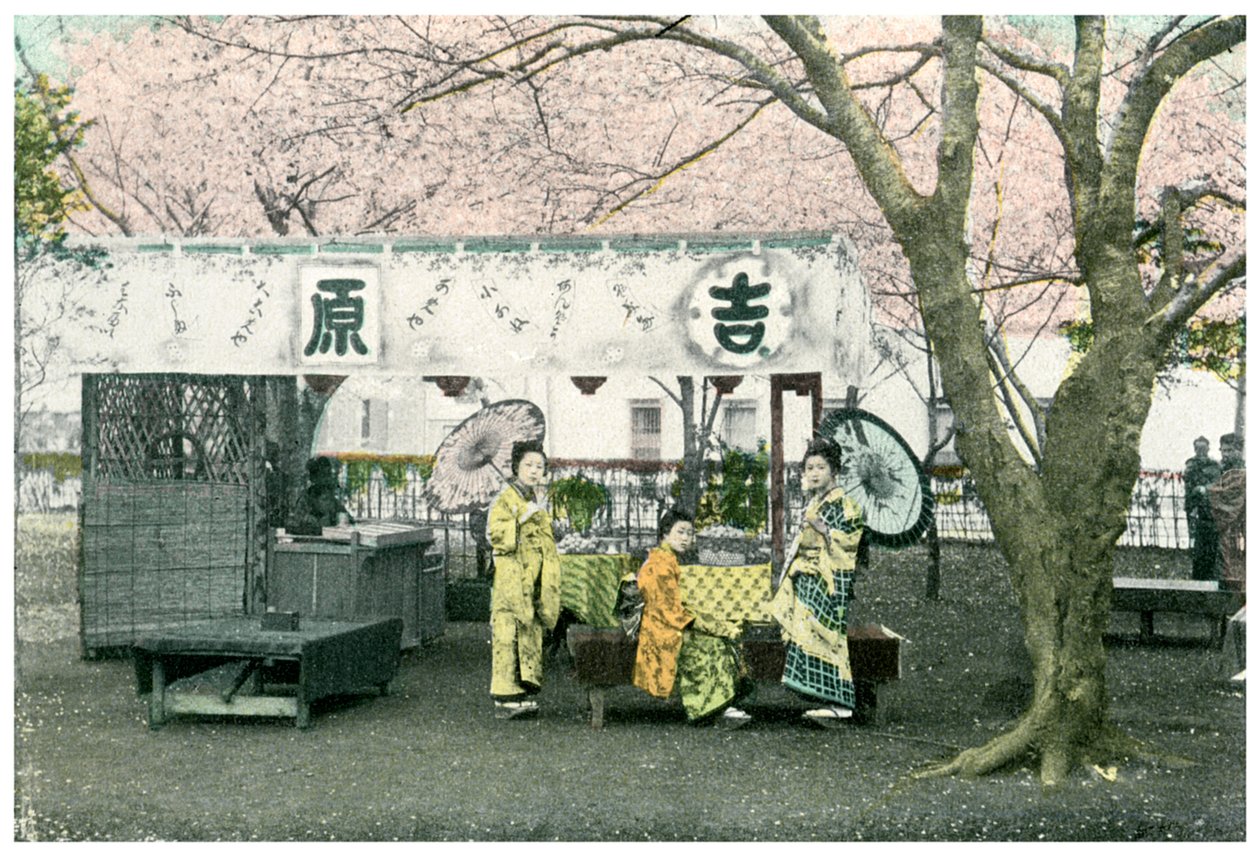 Imbissstand in einem öffentlichen Park, Japan, 1904 von Unbekannt