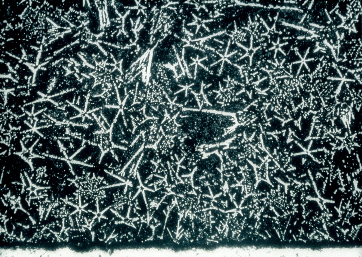 Metalle, Nichteisenmetalle, LM Zinnbasierte Lagerlegierung von Unbekannt