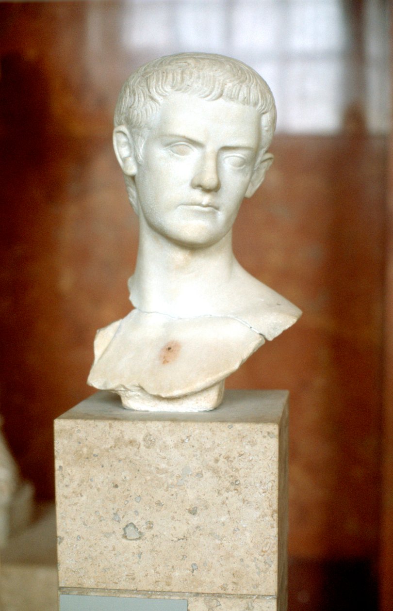 Marmorbüste des Kaisers Caligula von Unbekannt