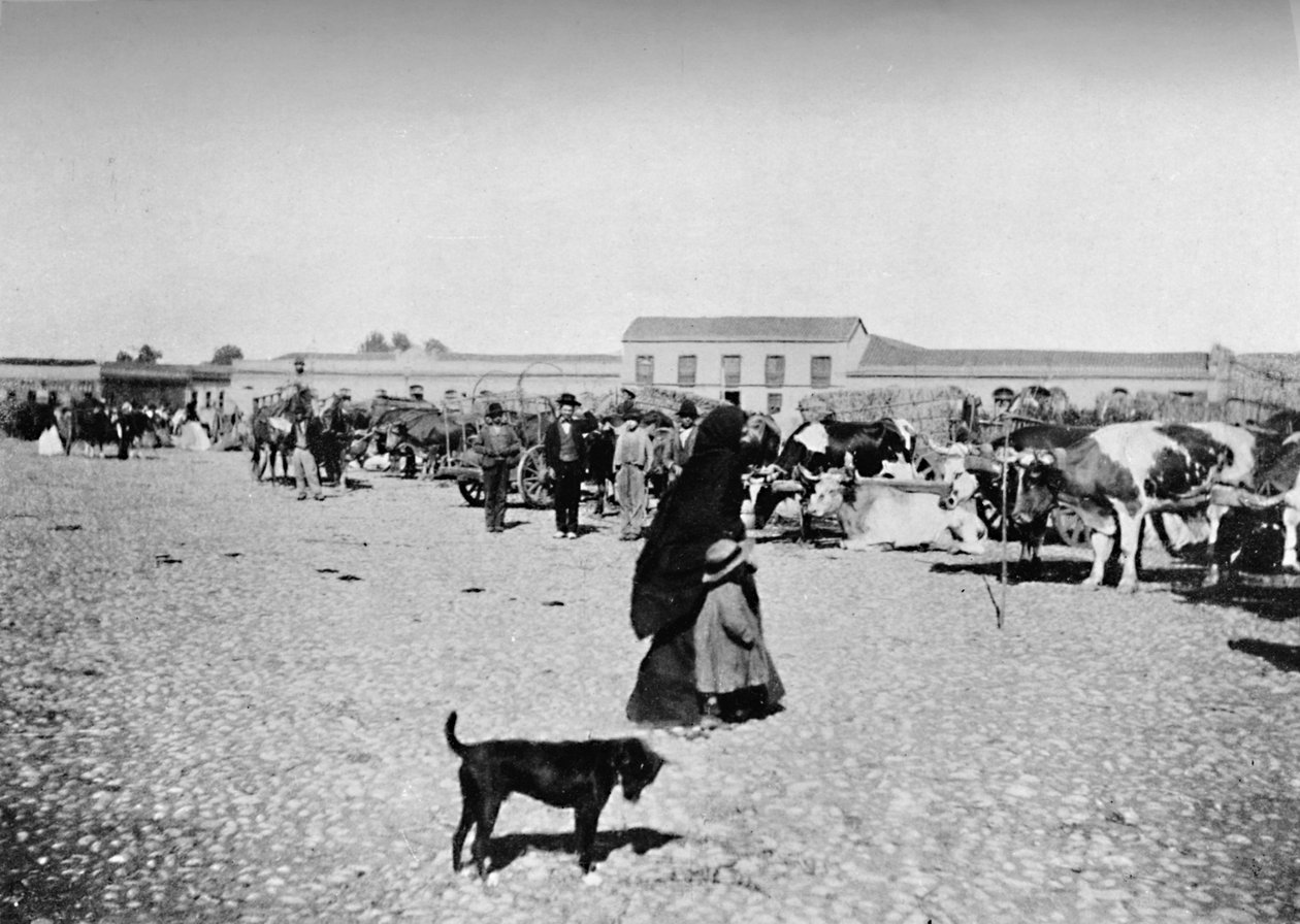Markttag in Chillan, 1911 von Unbekannt