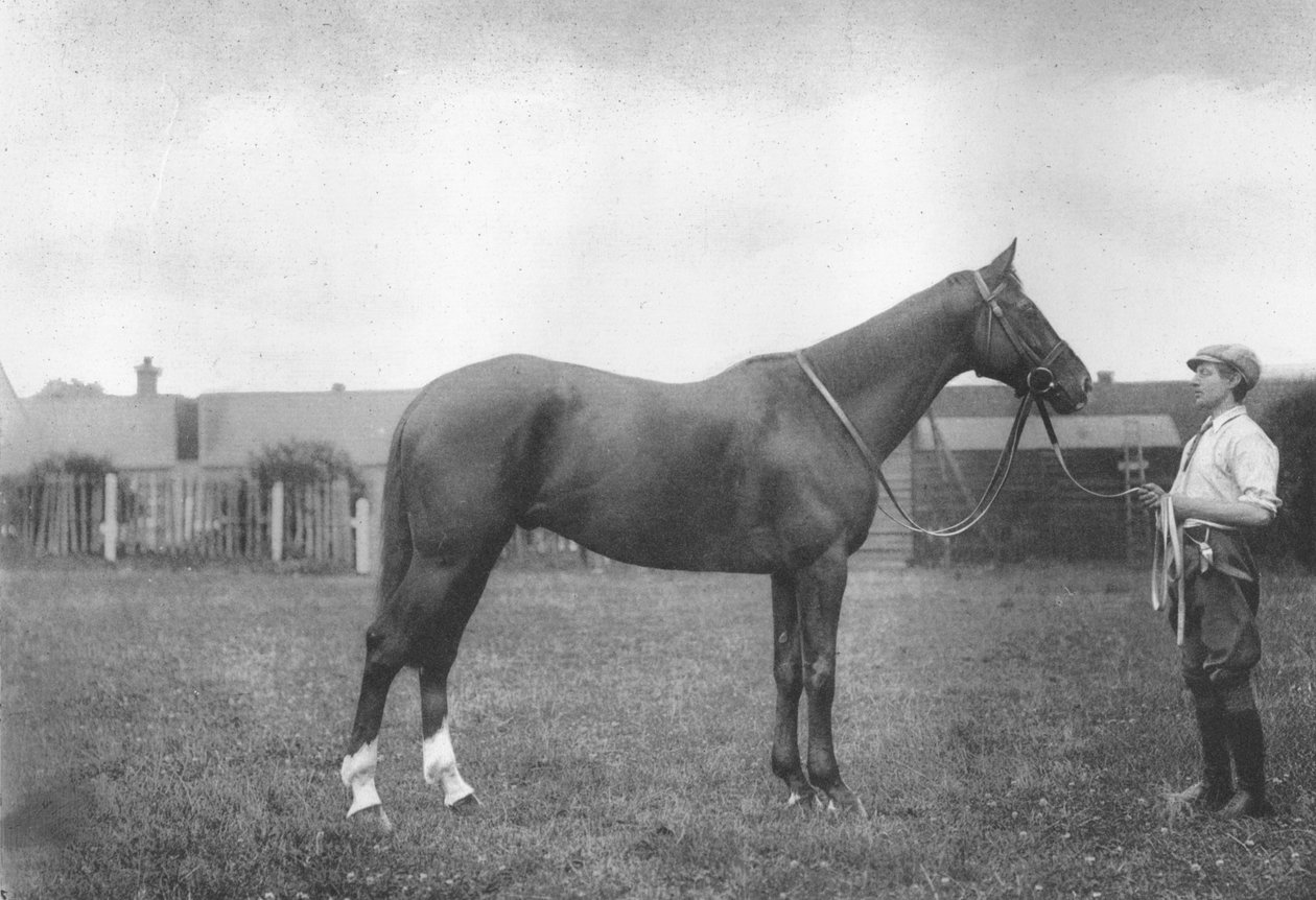 Mount Prospects Fortune, 1911 von Unbekannt