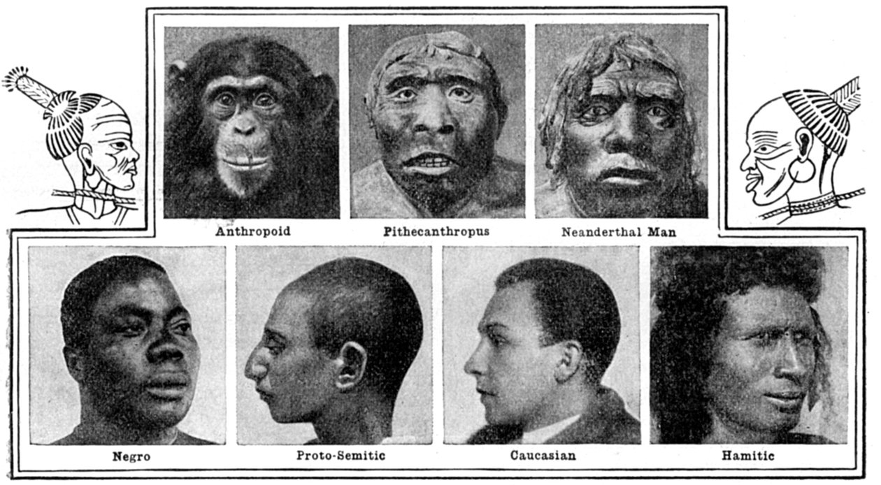 Natures evolutionäre Designs in Nasen, 1922 von Unbekannt