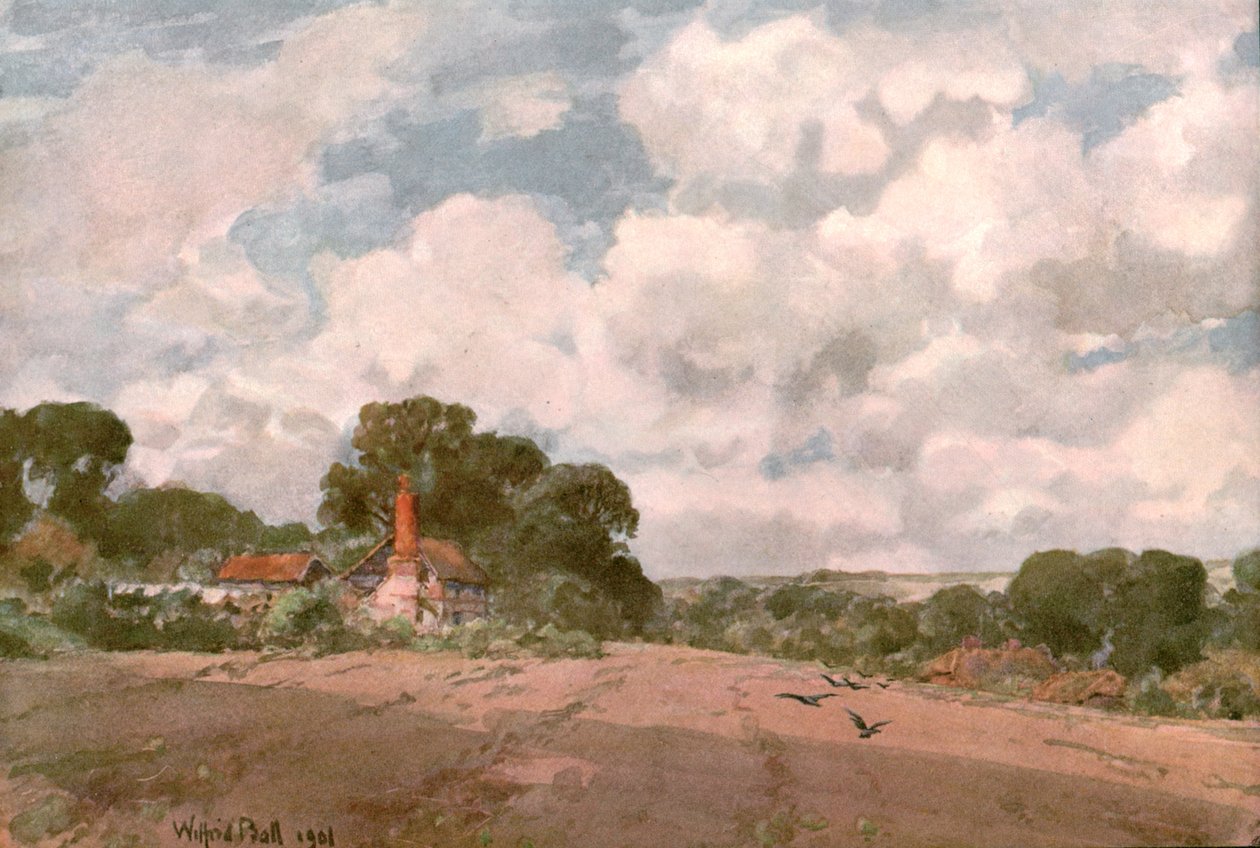 In der Nähe des Hogsback, Surrey, 1901 von Unbekannt