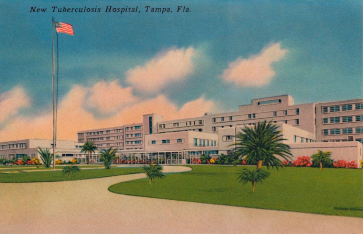 Neues Tuberkulosekrankenhaus, Tampa, Fla. von Unbekannt