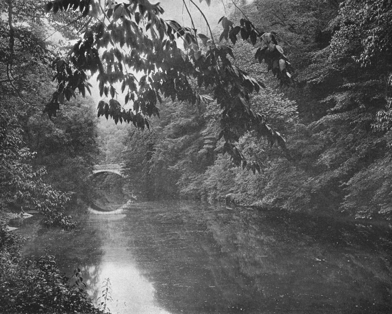 Am Wissahickon Creek, Fairmount Park, Philadelphia, USA von Unbekannt