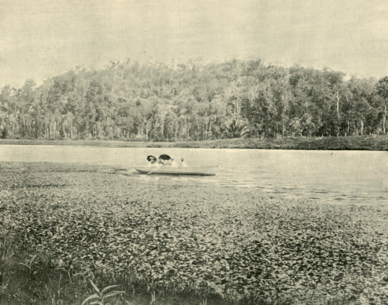 Am Enoggera-See, 1901 von Unbekannt