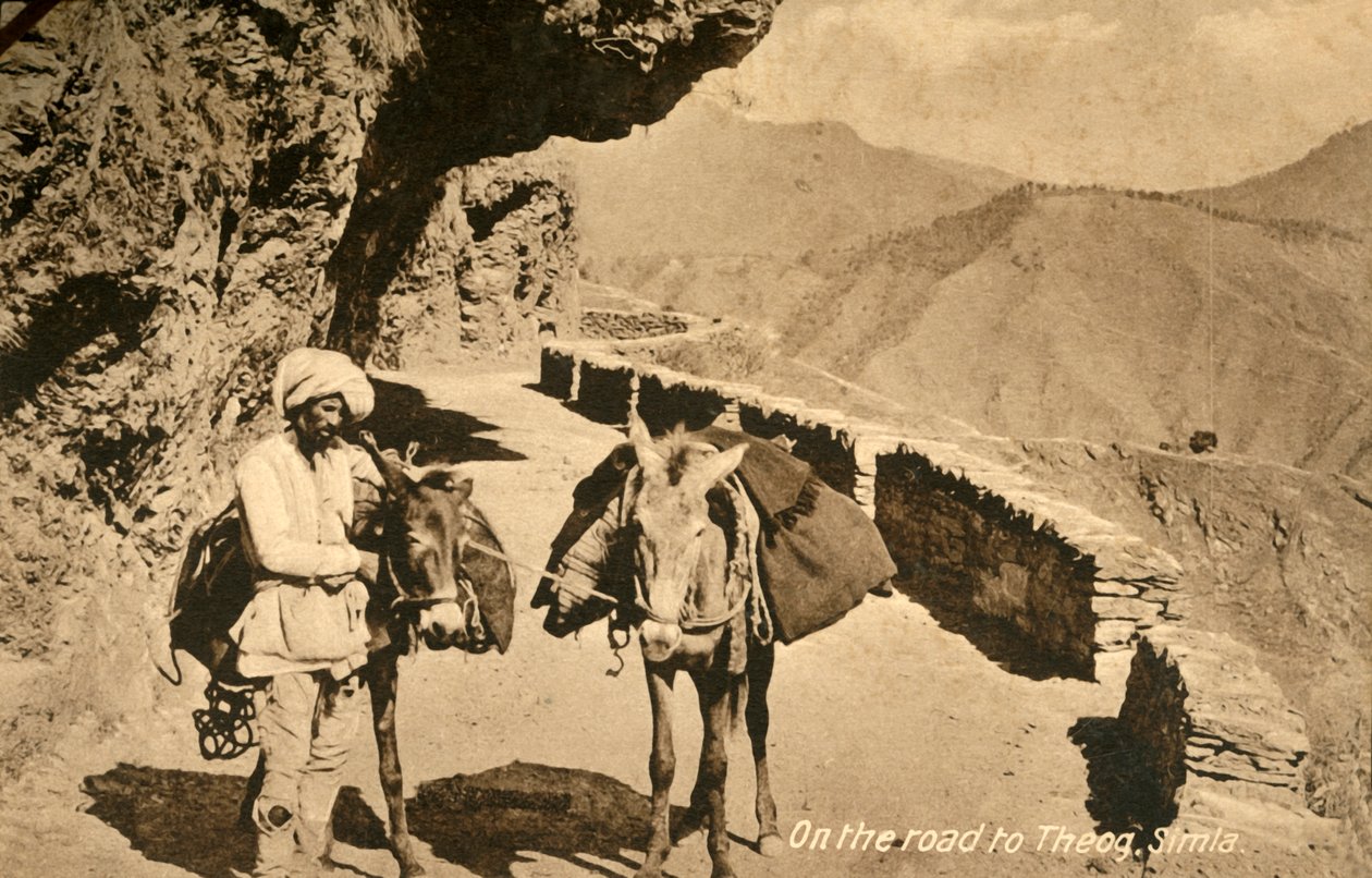 Auf dem Weg nach Theog, Simla von Unbekannt