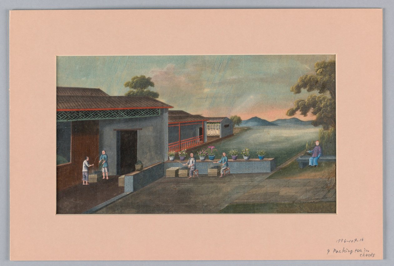 Verpackung von Tee in Kisten, 1890–1910 von Unbekannt