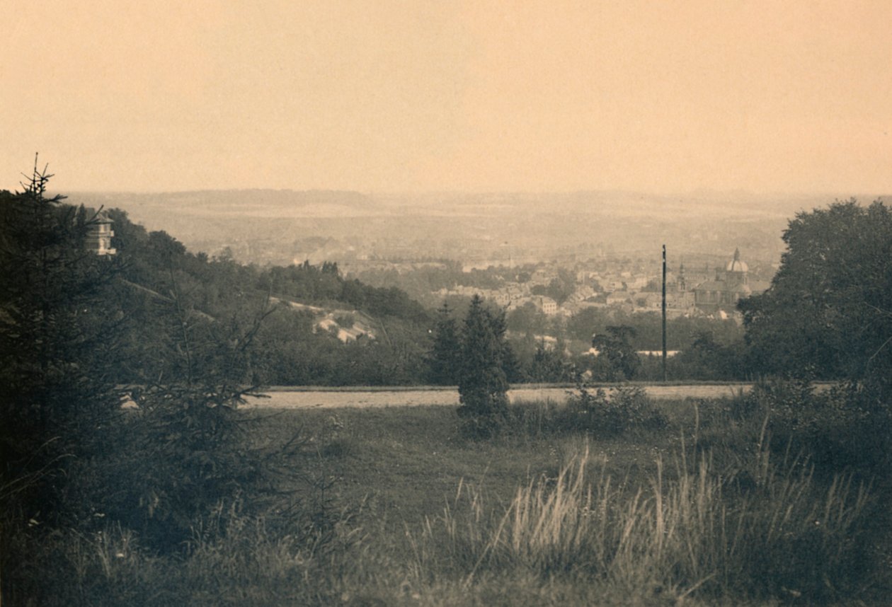 Panorama vom Waldchalet von Unbekannt
