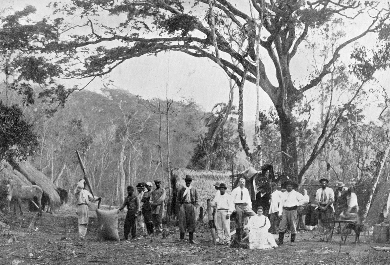 Paraguayische Teesammlung, Paraguay von Unbekannt