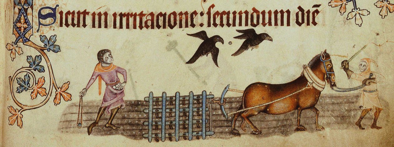 Bauern pflügen aus dem Luttrell Psalter, ca. 1330 von Unbekannt