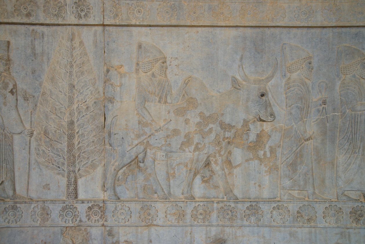 Persepolis, Iran von Unbekannt