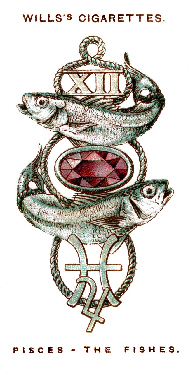 Fische, das Sternzeichen von Unbekannt