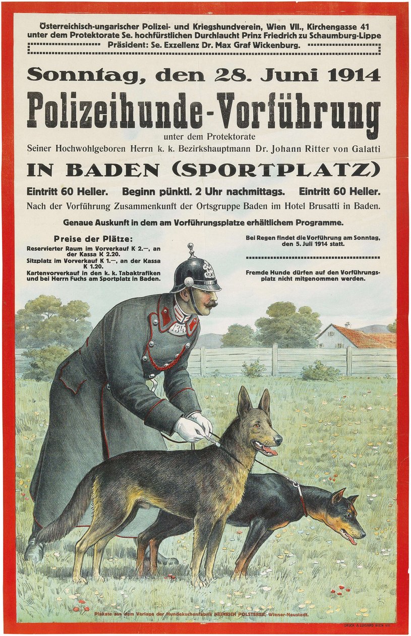 Vorführung von Polizeihunden in Baden, 1914 von Unbekannt