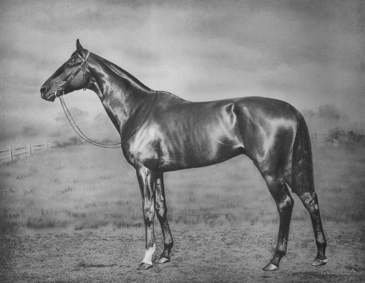 Polymelus, 1902-1924, 1911 von Unbekannt