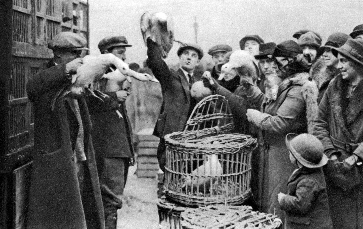 Geflügelhändler, Caledonian Market, London, 1926-1927 von Unbekannt