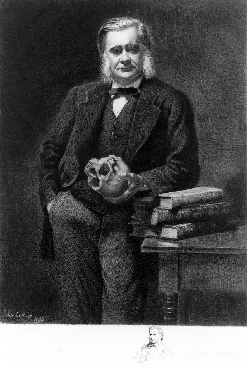 Professor Thomas Henry Huxley, englischer Biologe von Unbekannt